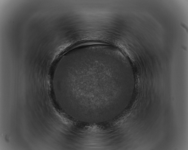 X0000092280688200710041411