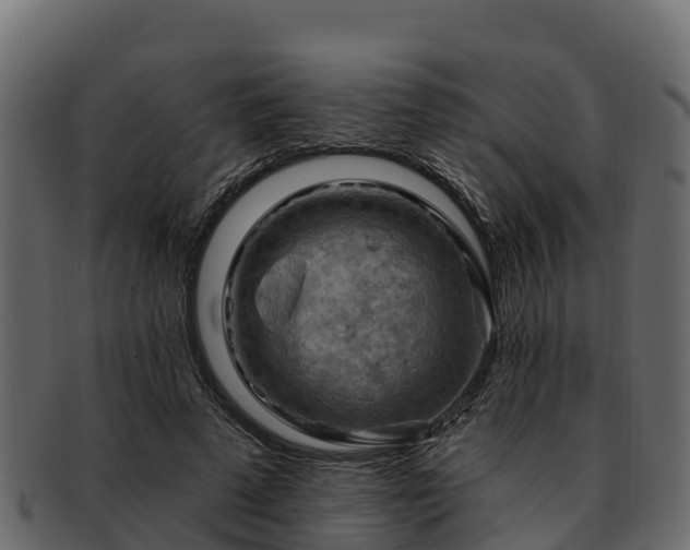 X0000092280689200710041411