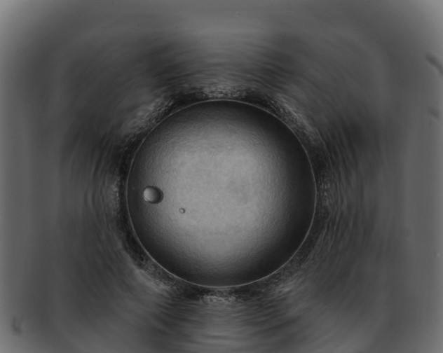 X0000092280690200710041411