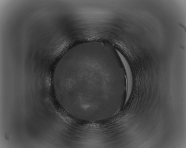 X0000092280691200710041411