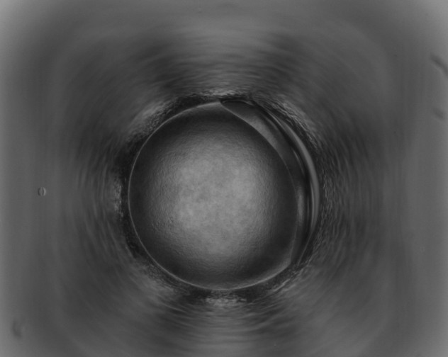 X0000092280693200710041411