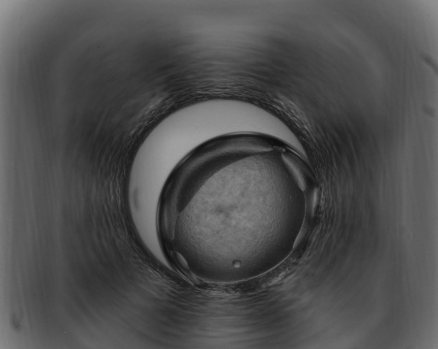 X0000092280697200710041411