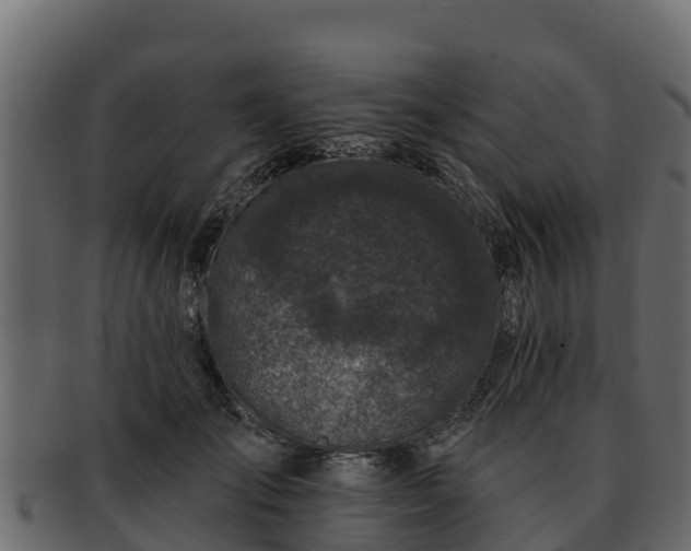 X0000092280701200710041411