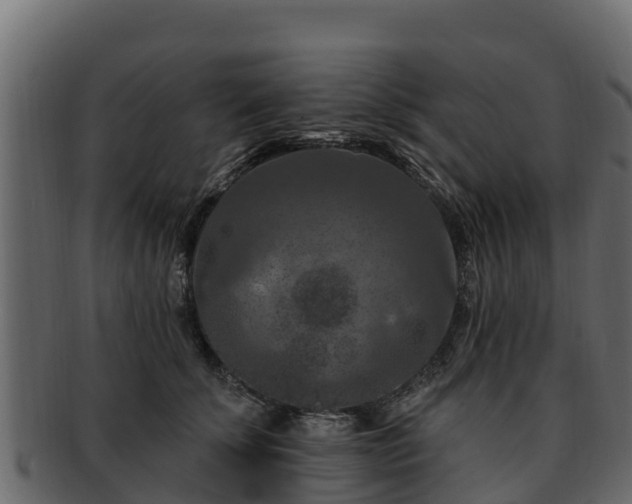 X0000092280707200710041411