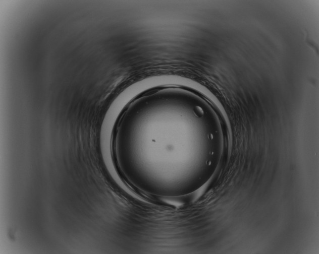 X0000092280712200710041411