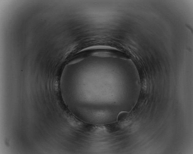 X0000092280715200710041411