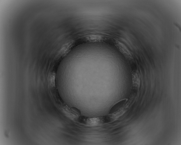 X0000092280717200710041411