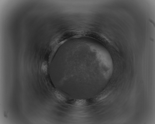 X0000092280720200710041411