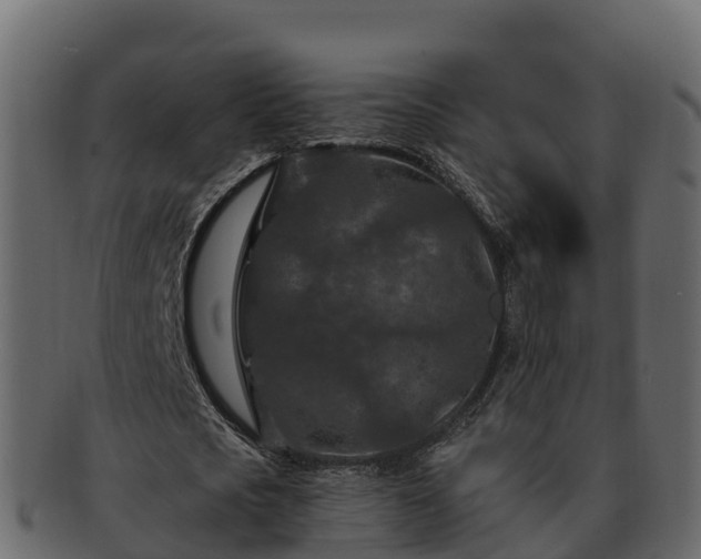 X0000092280721200710041410