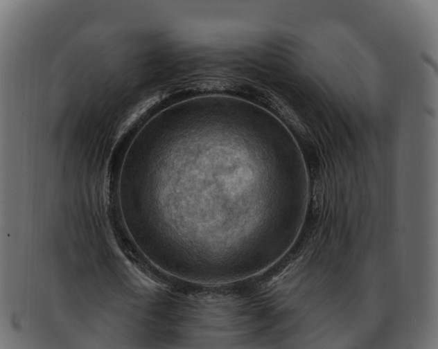 X0000092280722200710041410