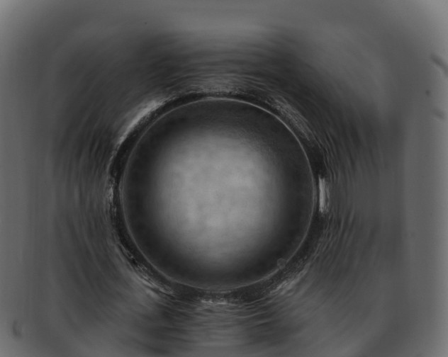 X0000092280723200710041410