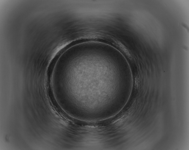 X0000092280724200710041410