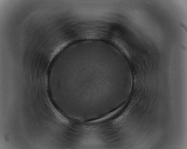 X0000092280725200710041410