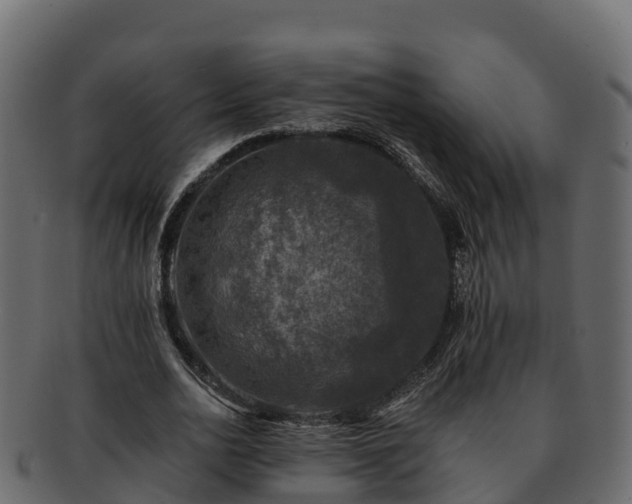 X0000092280726200710041410