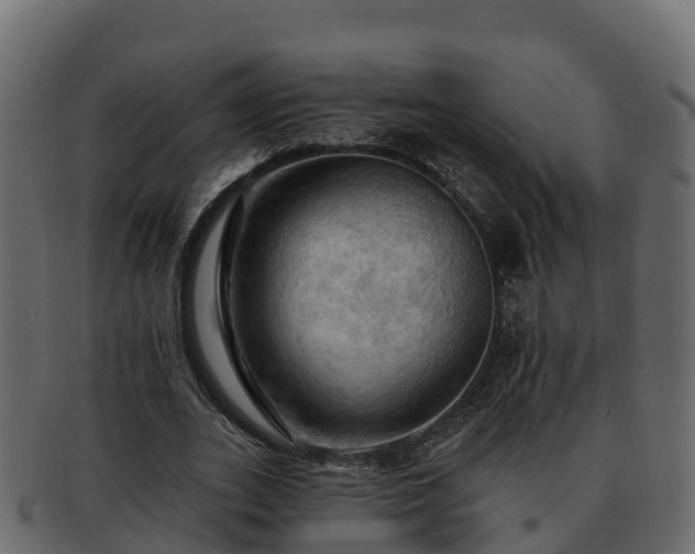 X0000092280727200710041410