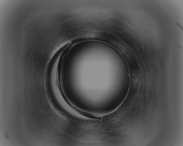 X0000092280728200710041410