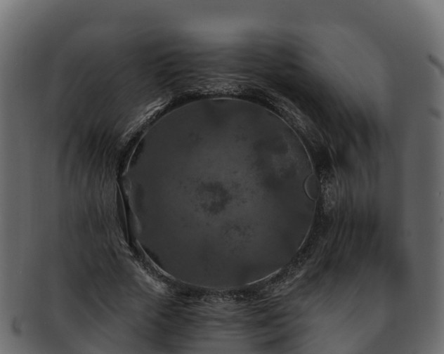 X0000092280729200710041410