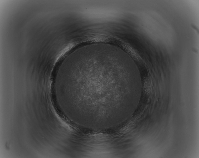 X0000092280730200710041410