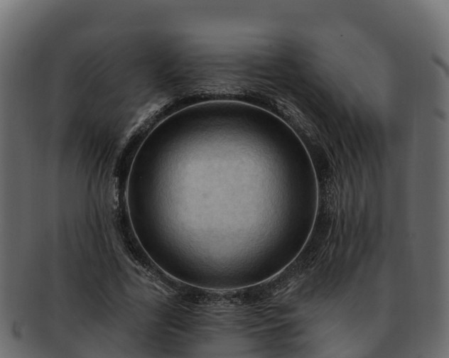 X0000092280731200710041410