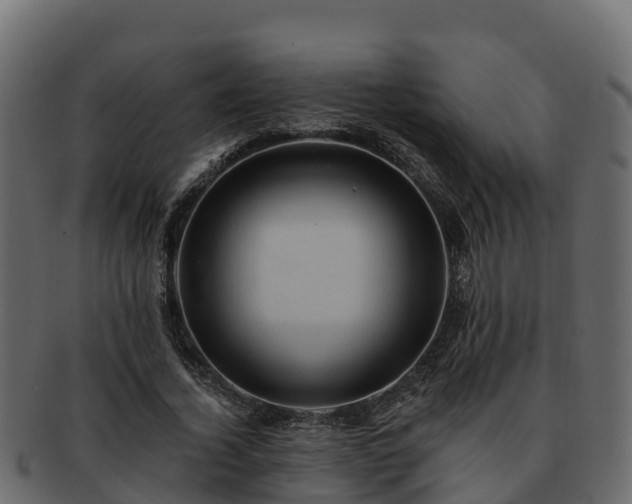 X0000092280732200710041410