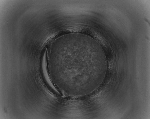 X0000092280733200710041410