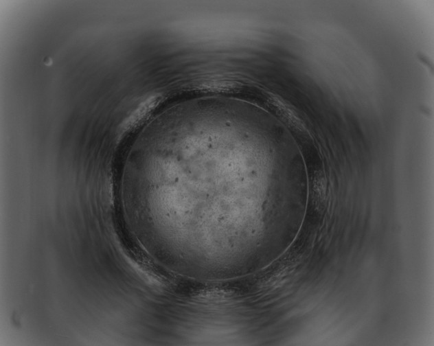 X0000092280734200710041410