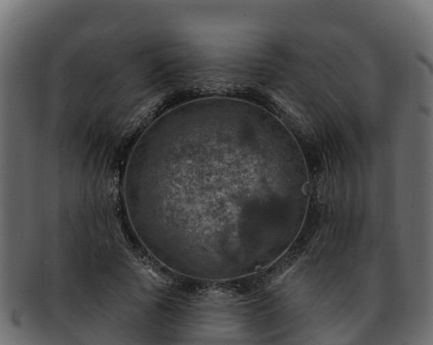 X0000092280737200710041410