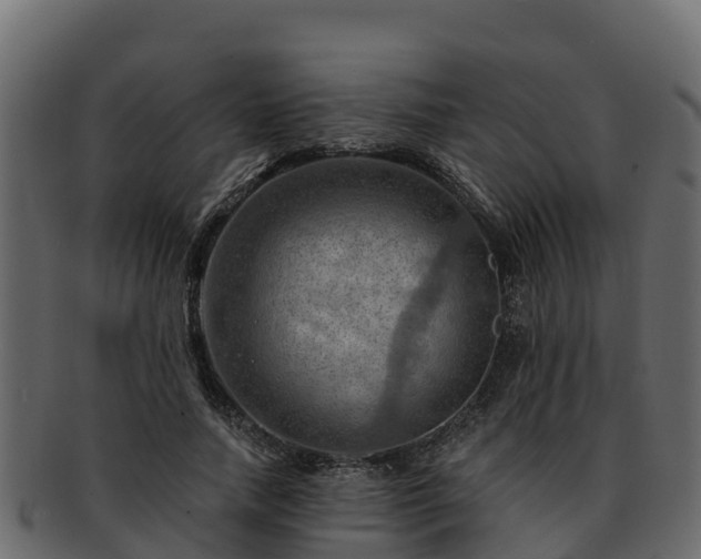 X0000092280738200710041410