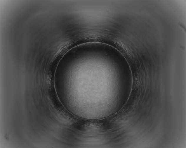 X0000092280739200710041410