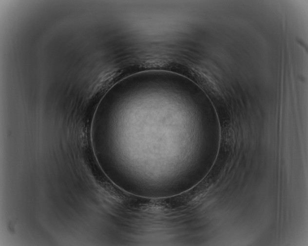 X0000092280743200710041410