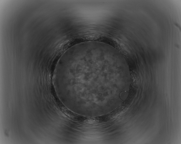 X0000092280745200710041410