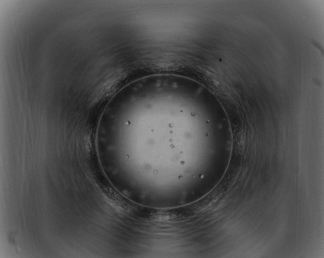 X0000092280746200710041410