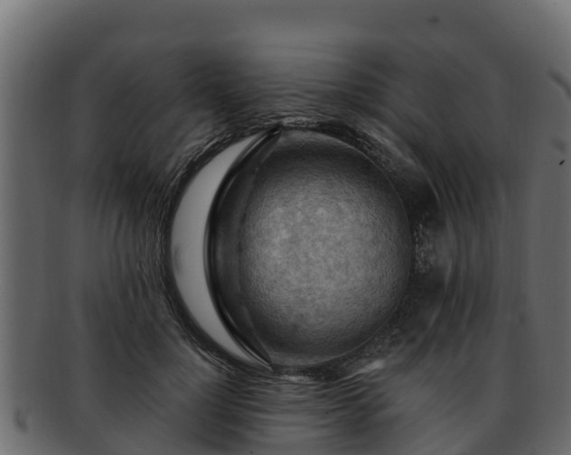 X0000092280748200710041410