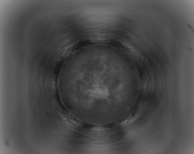 X0000092280749200710041410