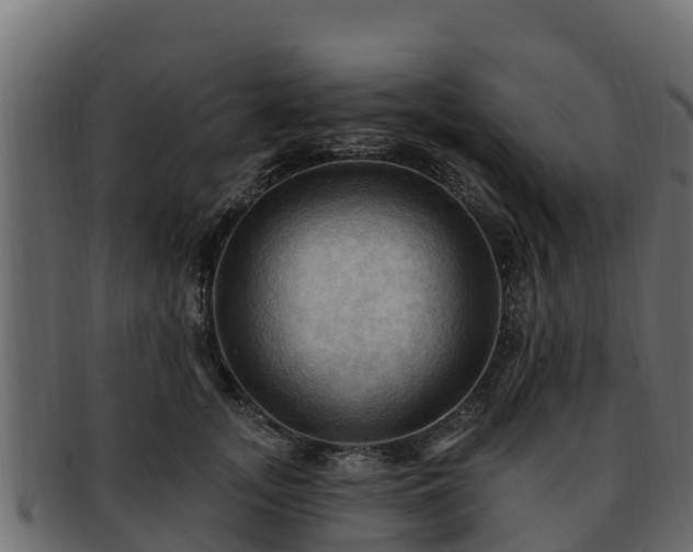 X0000092280755200710041410