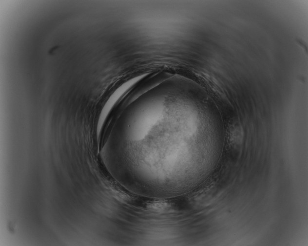 X0000092280759200710041410