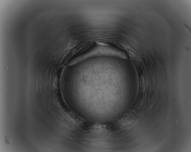 X0000092280760200710041410