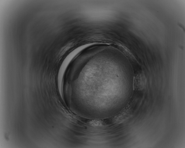 X0000092280762200710041410