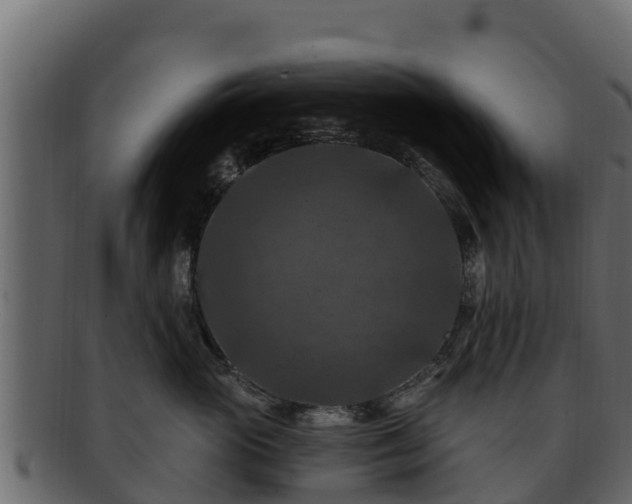 X0000092280765200710041411