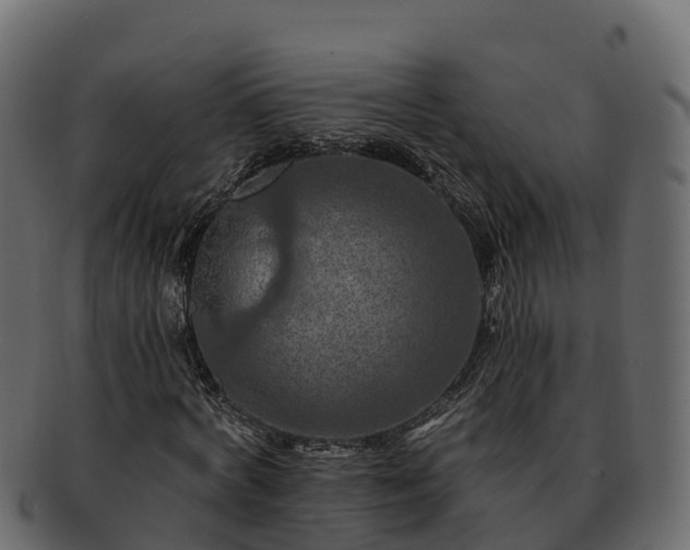 X0000092280772200710041410