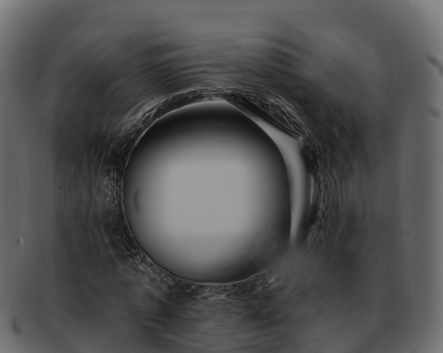 X0000092280773200710041410