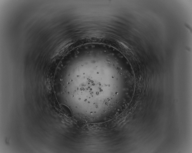 X0000092280774200710041410