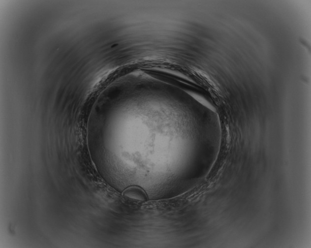 X0000092280776200710041410