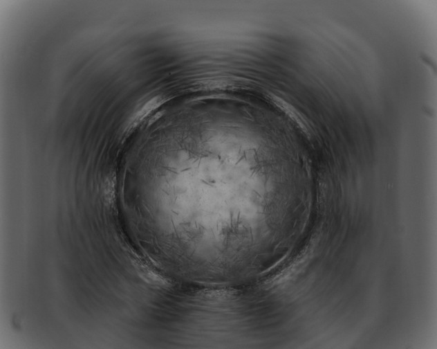 X0000092280778200710041410