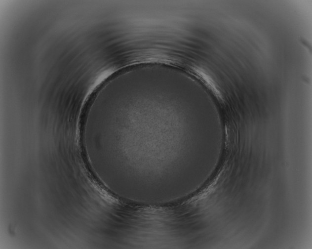 X0000092280780200710041410