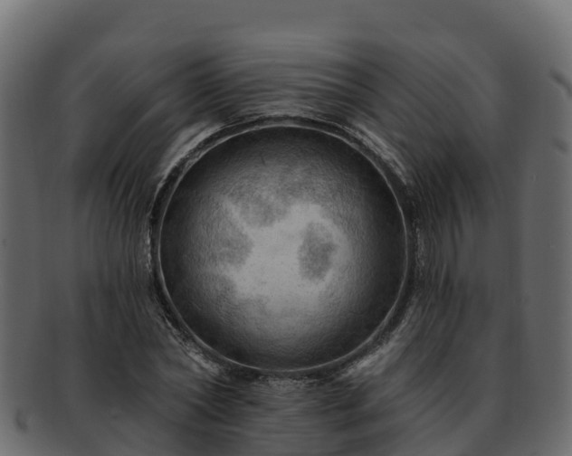 X0000092280782200710041410