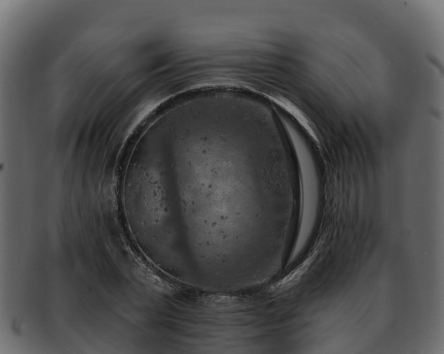 X0000092280783200710041410