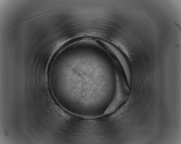 X0000092280784200710041410