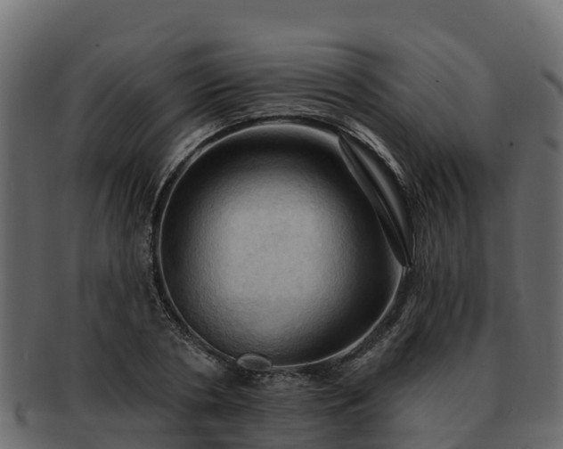 X0000092280786200710041410