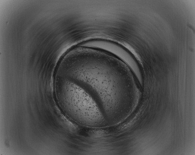 X0000092280791200710041410